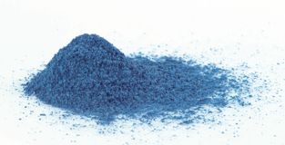 Wild Blueberry Extract Powder